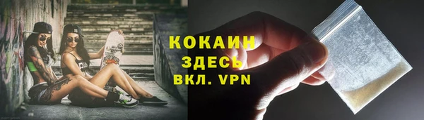 тгк Няндома