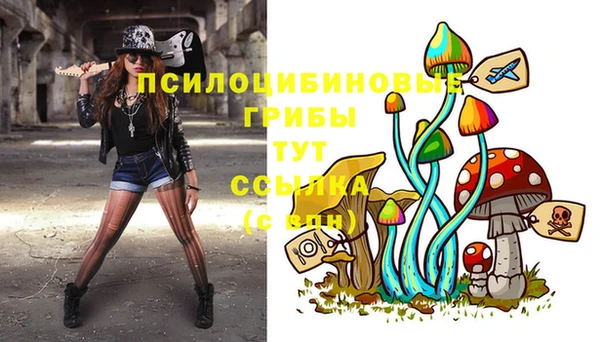крисы Абаза