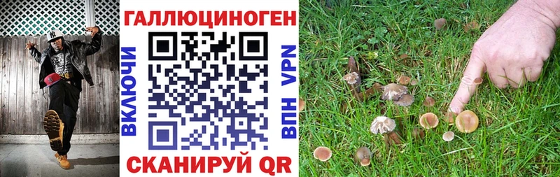 Галлюциногенные грибы мухоморы  как найти закладки  kraken ссылки  площадка телеграм  Тарко-Сале 